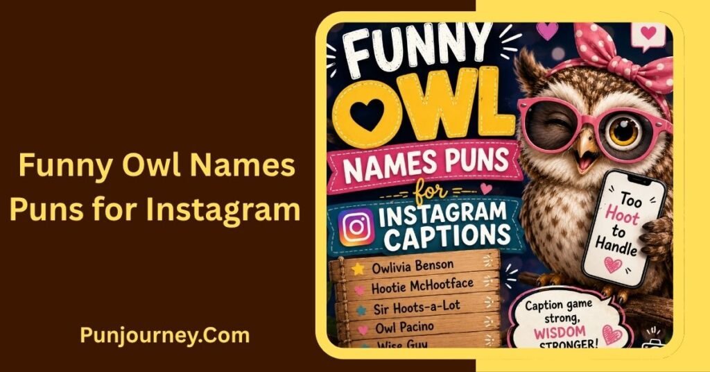 21+ Funny Owl Names Puns for Hilarious & Clever Owl Ideas 4 Funny Owl Names Puns for Instagram Captions