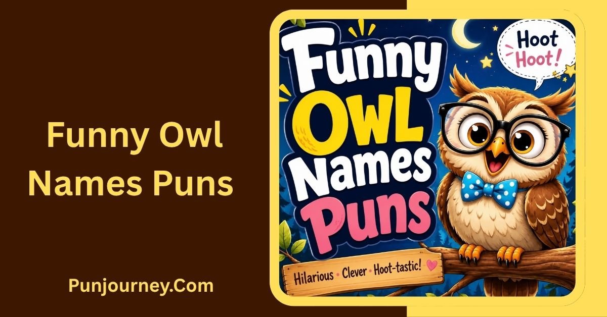 Funny Owl Names Puns