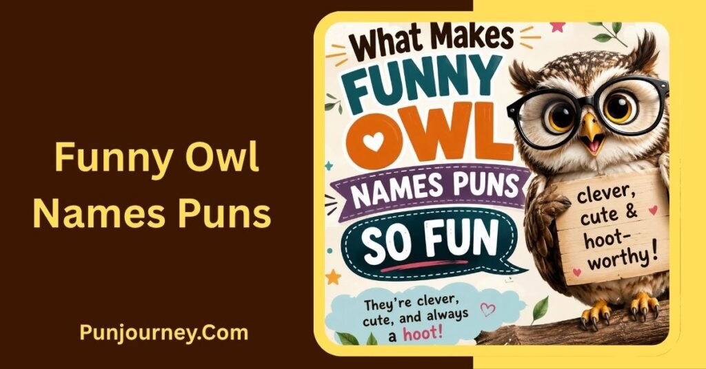 21+ Funny Owl Names Puns for Hilarious & Clever Owl Ideas 2 What Makes Funny Owl Names Puns So Fun