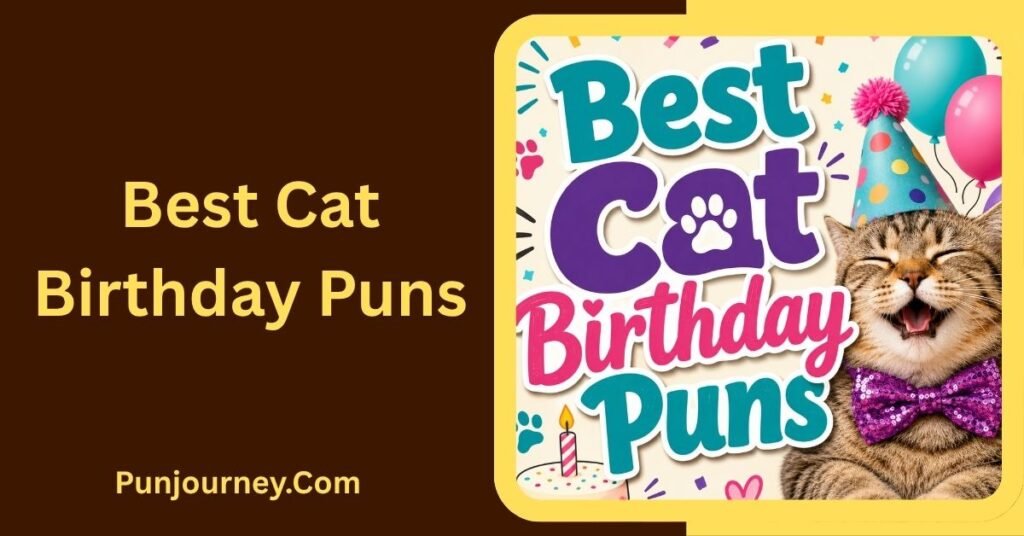 Best Cat Birthday Puns