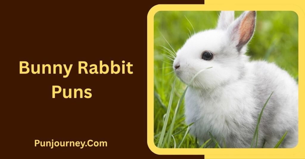 Bunny Rabbit Puns