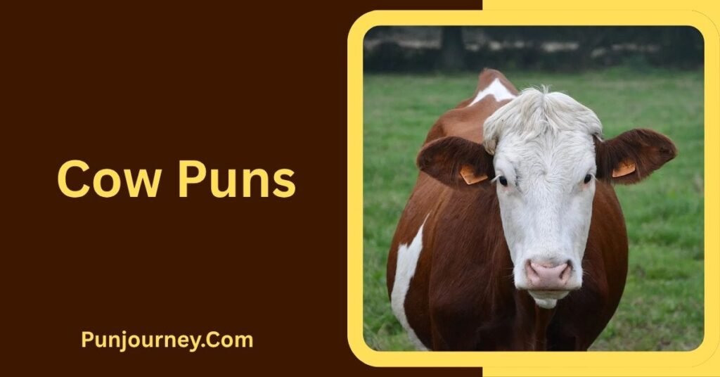 Cow Puns