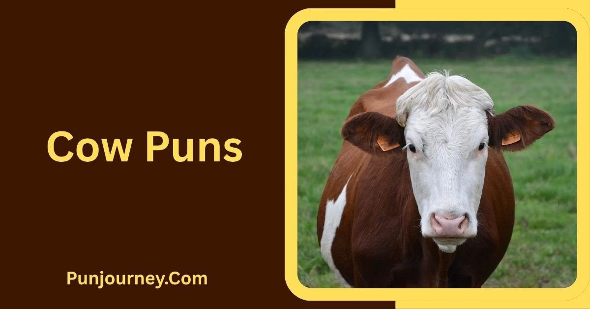 Cow Puns