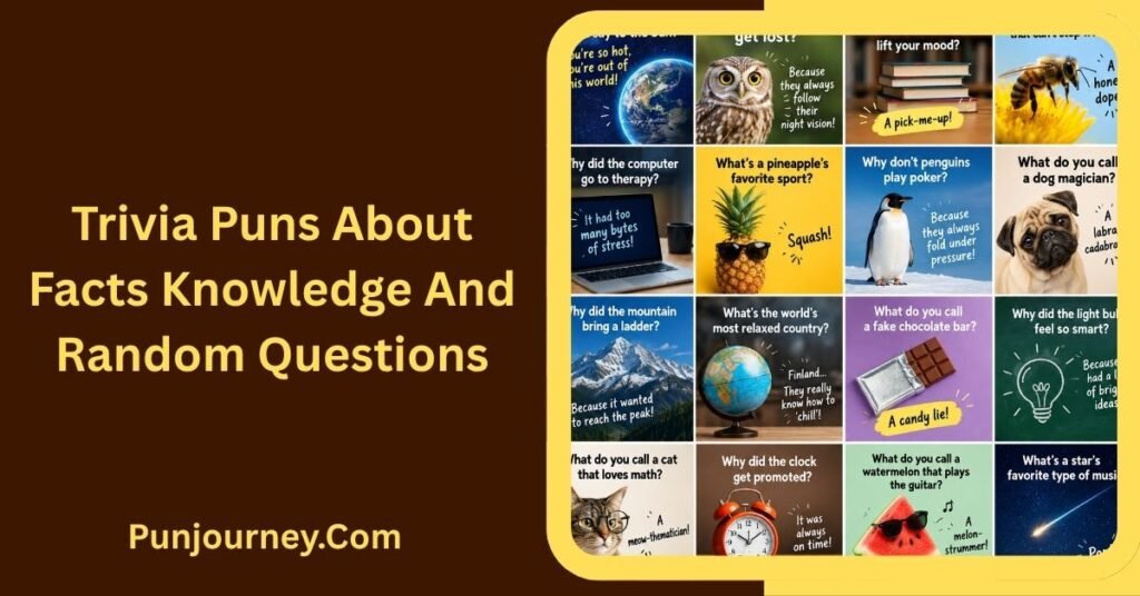 22+ Trivia Puns For Quiz Night Laughs to Make Game Night Fun 4 Trivia Puns About Facts Knowledge, and Random Questions